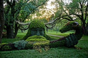 Jardin botanique
